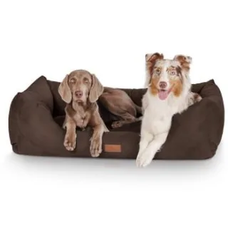 Knuffelwuff Hundebett Dreamline aus Velours braun XXXL