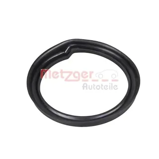 Metzger Federaufnahme hinten Lexus Rx Toyota Camry