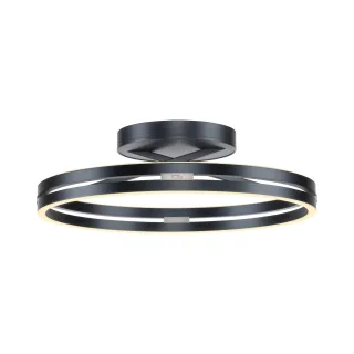 Deckenleuchte PURE LOOP