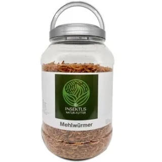 Insektus Mehlwürmer Insekten pur 5 l