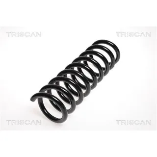 Triscan Feder vorne Mercedes E-Klasse W210 87502356