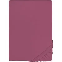 Castell - Markenbettwäsche Spannbettlaken Jersey in Gr. 90x200, 140x200 oder 180x200 cm, Jersey, Gummizug: rundum, (1 Stück), aus Baumwolle, für Matratzen bis 22 cm Höhe, Bettlaken, Spannbetttuch