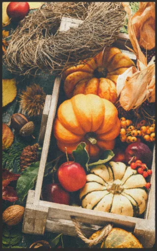 Fussmatte Kürbis 7304 | Größe: 60 cm x 90 cm