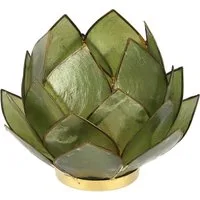 Guru-Shop Windlicht Lotus Teelicht Muschel 14*10 cm - olivgrün