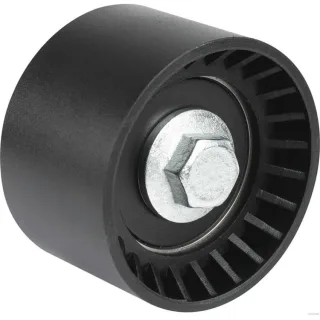 Jakoparts Umlenkrolle Hyundai Terracan Kia Carnival K2900 2,9 J1140318