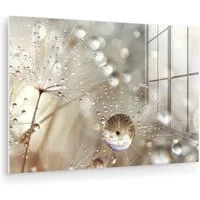MuchoWow Acrylglasbild Natur - Blumen - Tropfen - Regen, Inkl. Aufhängung, Glasbilder Wohnzimmer, Schlafzimmer, Flur & Esszimmer, 30x20 cm