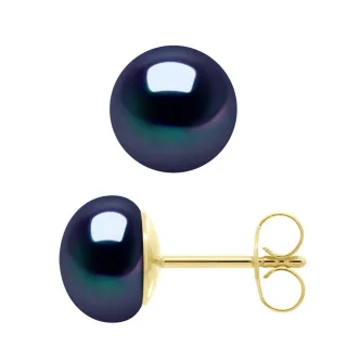 Ohrringe – Gelbgold 750 (18 Karat echte Süßwasser-Zuchtperlen, Knopf 8–9 mm).