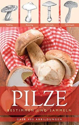 Pilze: Bestimmen und Sammeln