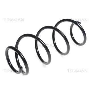 Triscan Feder Vorne Renault Clio Modus 875025114