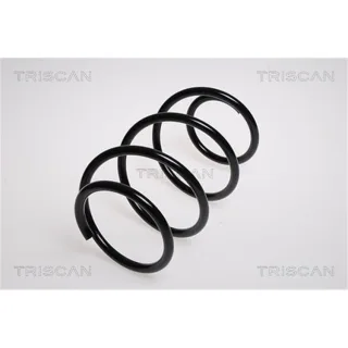 Triscan Feder vorne Mercedes Slk 875023110