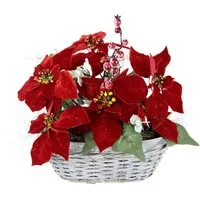 Kunstblume Arrangement, I.GE.A., Höhe 30 cm, Poinsettia Beeren im Korb