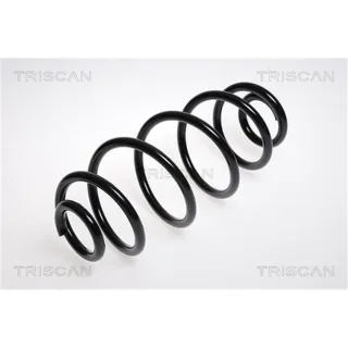 Triscan Feder hinten Renault Espace