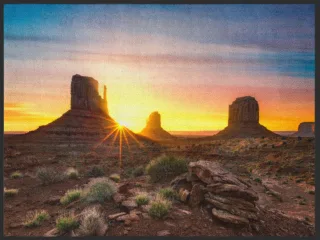 Fussmatte Arizona 4878 | Größe: 60 cm x 45 cm