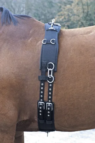 Longiergurt ED Nylon