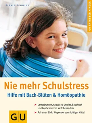 Schulstress! Nie mehr [Taschenbuch] [2001] Schmidt Sigrid