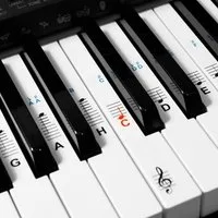 kwmobile Sticker Notenaufkleber für Keyboard/Piano - 49/61/76/88 Tasten, transparent, (1-tlg), Klavier Noten Aufkleber