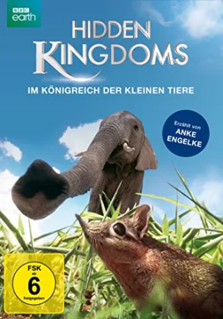 Hidden Kingdoms - Im Königreich der kleinen Tiere [DVD] [2014]