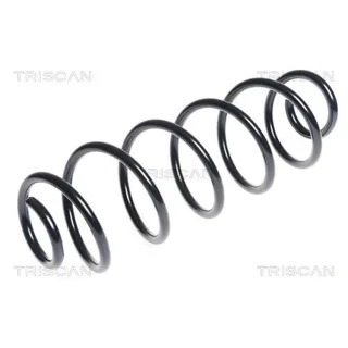 Triscan Feder hinten Citroen C3 875028190