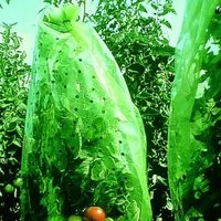 XCLOU Gartenvlies Tomatenhaube 0,65 x 10 m, (1-St)