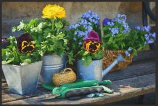Fussmatte 10354 | Größe: 60 cm x 45 cm