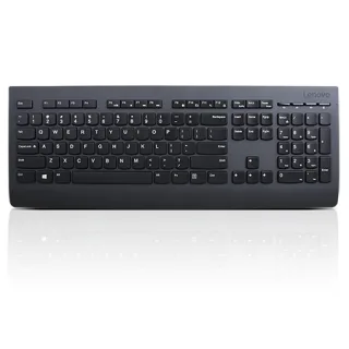 Lenovo Professional | 4x30h56873 | Tastatur - kabellos