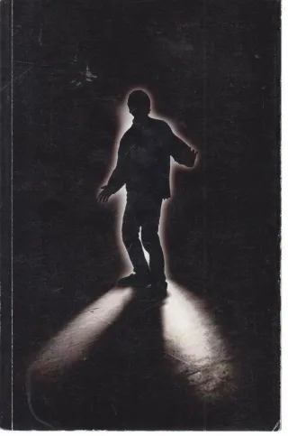 Light - Michael Grant