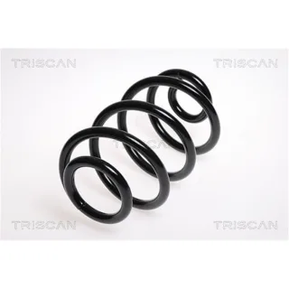 Triscan Feder hinten Nissan Micra K12
