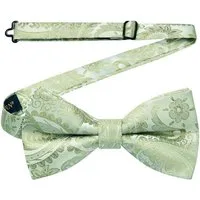 LuxusKollektion Fliege Fliege Herren gebunden Paisley Hochzeit Anzug Salbei Grün -2