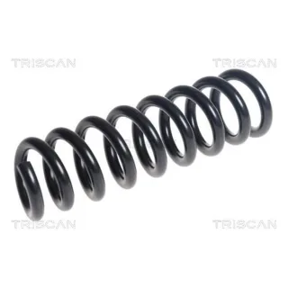 Triscan Feder hinten BMW 3er 4er 875011246