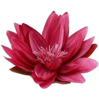 Kunstblume Exotische Seerosen Deko-Blüten für Tischdekoration und, 2 Stück, Florists Products, Höhe 5.5 cm