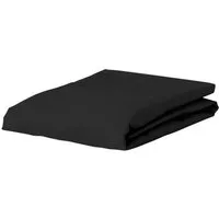 Essenza Spannbettlaken Premium Percale, Perkal, Gummizug: rundum, (1 Stück), Uni Baumwollperkal