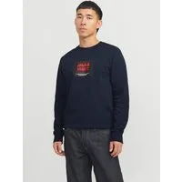 Jack & Jones Sweatshirt JJHUDSON – Sweatshirt mit Print, Rundhals und Kapuze Print, modisch, regular fit, angeraute Sweatware, Rundhals