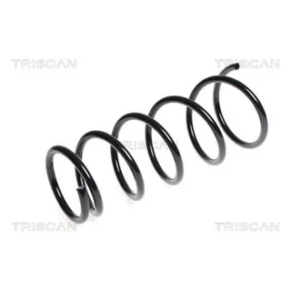 Triscan Feder vorne Fiat Sedici Suzuki Sx4 1,6
