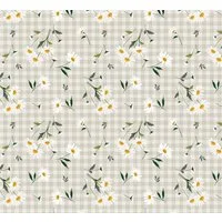 texpot Tischdecke Wachstuch Kamille Frühling Blumen abwischbar (1-tlg)