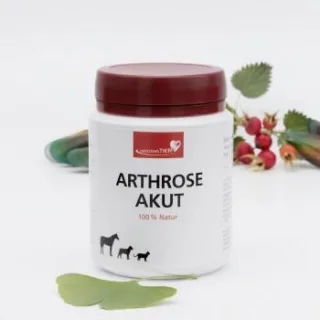HerzensTier Arthrose akut 150 ml