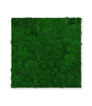 Wandpaneel MODULAR WALL