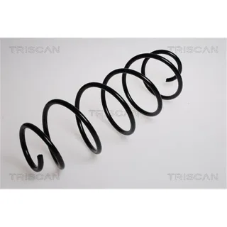 Triscan Feder vorne Citroen C3 87502865