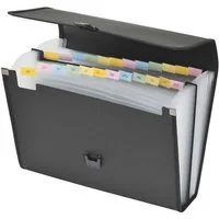 FOLDERSYS Fächermappe, 24 Fächer