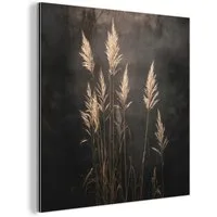MuchoWow Metallbild Ziergras - Federn - Beleuchtung - Schwarz, Inkl. Aufhängung, Alu-Dibond-Druck, Wandbild aus Metall, Aluminium deko, 20x20 cm