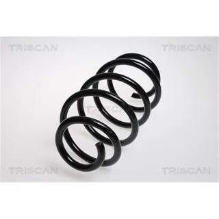 Triscan Feder vorne VW Transporter T5