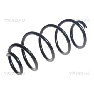 Triscan Feder vorne Seat Toledo Skoda Fabia Rapid VW Polo
