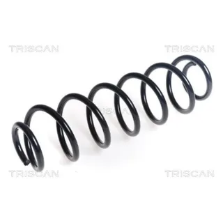 Triscan Feder hinten Seat Leon 875029463