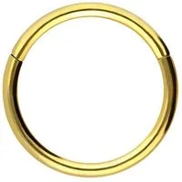 PIERCINGLINE Nasenpiercing Titan Segmentring Clicker Ohrpiercing Septum Nase (Clicker, 1-tlg), Ohrpiercing für Conch, Helix, Tragus, Daith, Lobe