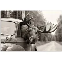 MuchoWow Poster Elch - Auto - Geweih - Schwarz - Weiß, (1 St), Poster ohne Rahmen, Wandbild, Wandposter, 30x20 cm