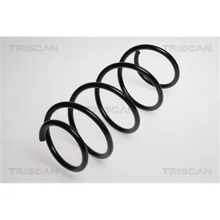 Triscan Feder vorne Fiat Punto 188 87501571