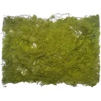 Kunstgras Künstliche MOOSMATTE ca 30 x 20 cm. Moosdecke aus Kunst-Moos in grün., Floratexx GmbH