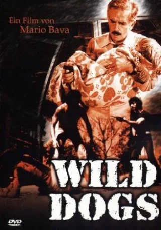 Wild Dogs [DVD] [2006]