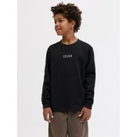Jack & Jones Junior Sweatshirt JCOPOINT SWEAT BADGE CREW NECK BF JNR