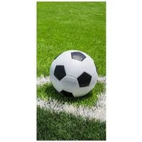 Jerry Fabrics Handtuch Sport Strandtuch Badetuch Fußball Platz Training, Frottee (1-St)