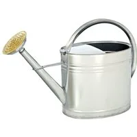 Dehner Blumentopf Gießkanne nostalgisch, 9 l, 53 x 40 x 21 cm, Zink, Verzinktes Stahlblech, aufschraubbarer Brause, großes Fassungsvermögen